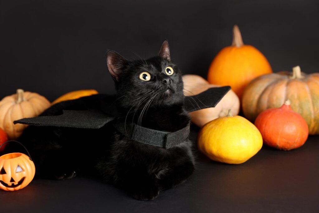  Cat Costumes